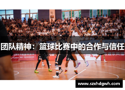 团队精神：篮球比赛中的合作与信任